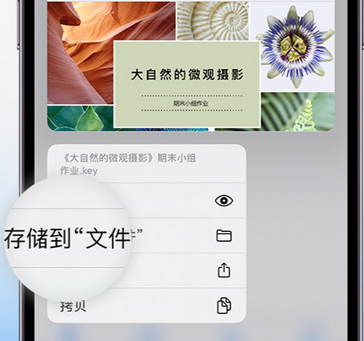 德格apple维修中心分享iPhone文件应用中存储和找到下载文件