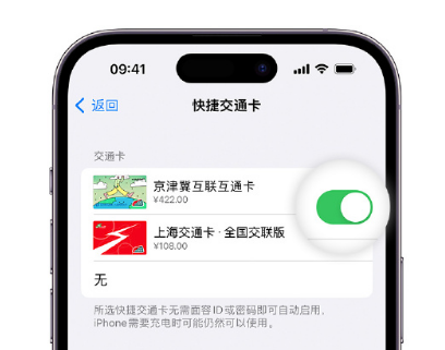 德格apple维修点分享iPhone上更换Apple Pay快捷交通卡手绘卡面 