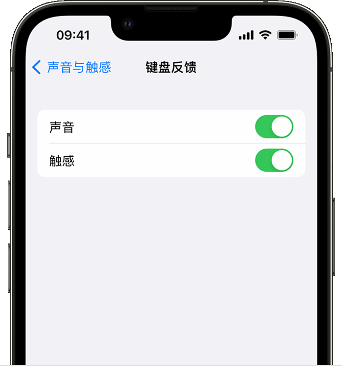 德格苹果14维修店分享如何在 iPhone 14 机型中使用触感键盘 