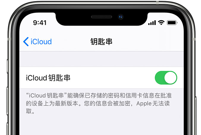 德格苹果手机维修分享在 iPhone 上开启 iCloud 钥匙串之后会储存哪些信息 