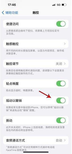 德格苹果手机维修分享iPhone手机如何设置摇一摇删除文字 