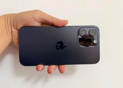 德格苹果维修点分享iPhone 14 Pro Max黑屏少见故障盘点 